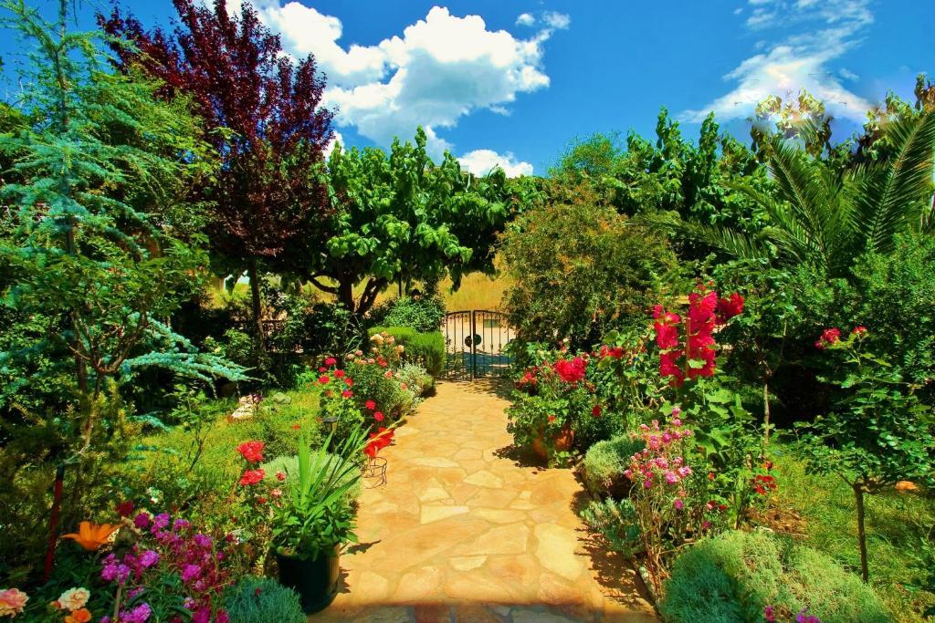 Sagini Boutique Hotel Loutra Edipsou  Dış mekan fotoğraf